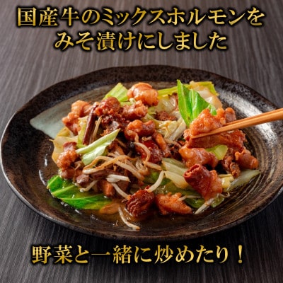 【数量限定】国産牛ミックスホルモン みそ漬 合計1kg(500g×2パック)(三股町)【MI288】