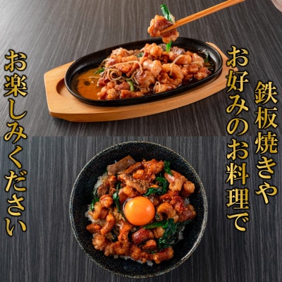【数量限定】国産牛ミックスホルモン みそ漬 合計1kg(500g×2パック)(三股町)【MI288】
