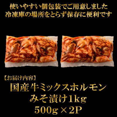 【数量限定】国産牛ミックスホルモン みそ漬 合計1kg(500g×2パック)(三股町)【MI288】