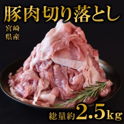 宮崎県産豚肉切り落とし2.5kg(250g×10) 真空パック(三股町)【MI448】