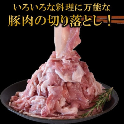 宮崎県産豚肉切り落とし2.5kg(250g×10) 真空パック(三股町)【MI448】