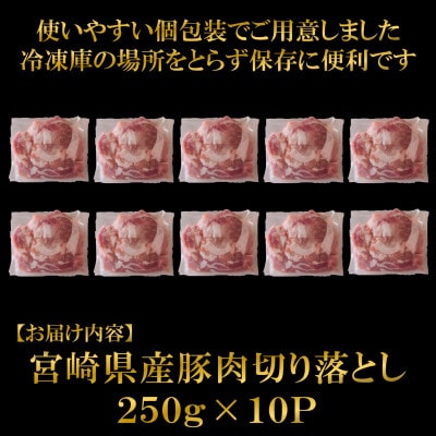 宮崎県産豚肉切り落とし2.5kg(250g×10) 真空パック(三股町)【MI448】