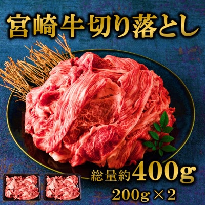 宮崎牛切り落とし400g(200g×2)(三股町)【MI701】