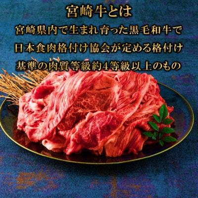 宮崎牛切り落とし400g(200g×2)(三股町)【MI701】