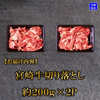 宮崎牛切り落とし400g(200g×2)(三股町)【MI701】