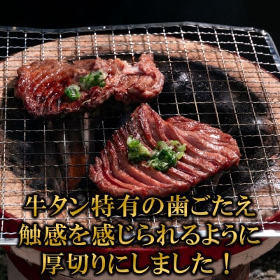 厚切り牛タン(外国産)塩味 500g×1パック(三股町)【MI702】