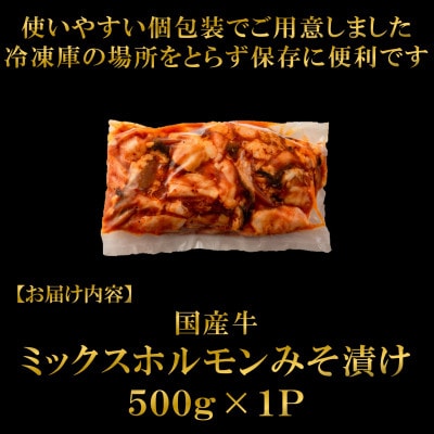 【数量限定】国産牛ミックスホルモン みそ漬 500g×1パック(三股町)【MI705】