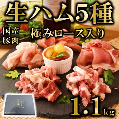 極みロース生ハム入り5種食べ比べセット合計1.1kg 【MI736】