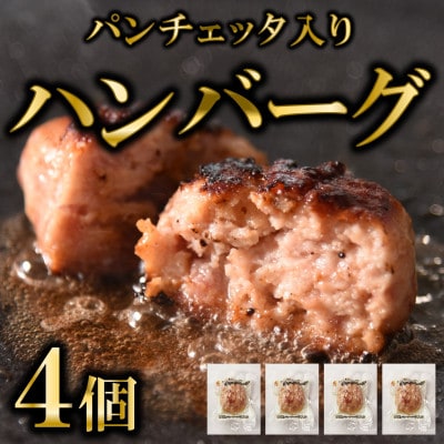 国産パンチェッタ入りハンバーグセット4個【MI741】