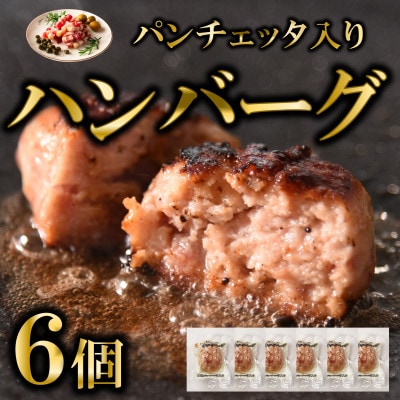 国産パンチェッタ入りハンバーグセット6個【MI742】