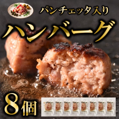 国産パンチェッタ入りハンバーグセット8個【MI743】