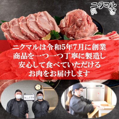 宮崎県産ブランドポーク　豚肉セット(バラ、ロース、ウデ、モモ)総量約2.6kg【MI279】