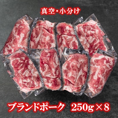 宮崎県産ブランドポーク(ウデ・モモ)切り落とし　総量約2kg【MI289】