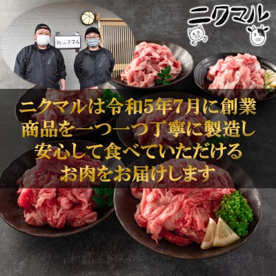 【2ヵ月毎定期便】宮崎牛(カタ)豚肉(ウデ、モモ)切り落とし総量約4.8kg【MI413-B】全3回