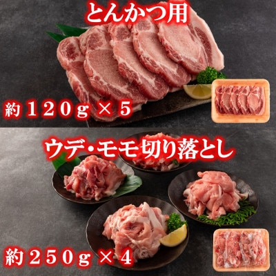 【2ヵ月毎定期便】宮崎県産豚肉(バラ・ロース・ウデ・モモ)総量約7.8kg【MI415-B】全3回