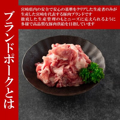 【2ヵ月毎定期便】宮崎県産ブランドポーク切り落とし(ウデ・モモ)総量約6kg【MI417-B】全3回