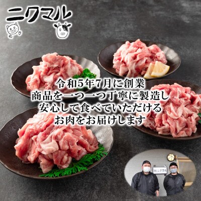 【2ヵ月毎定期便】宮崎県産ブランドポーク切り落とし(ウデ・モモ)総量約6kg【MI417-B】全3回