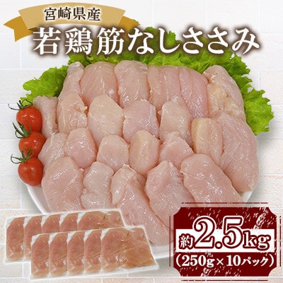 宮崎県産若鶏筋なしささみ 約2.5kg(三股町)