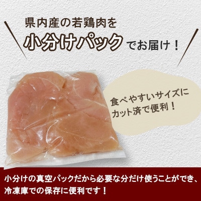 宮崎県産若鶏筋なしささみ 約2.5kg(三股町)