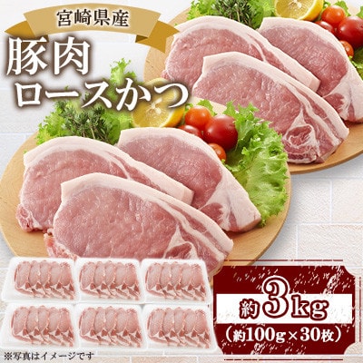 宮崎県産豚肉 ロースかつ用30枚(三股町)