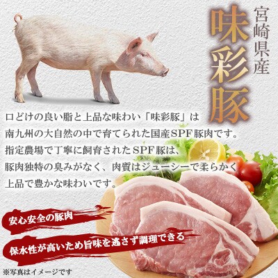 宮崎県産豚肉 ロースかつ用30枚(三股町)