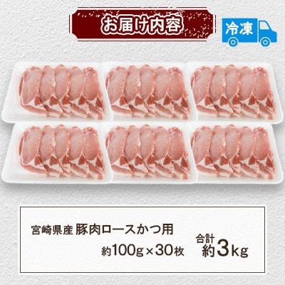 宮崎県産豚肉 ロースかつ用30枚(三股町)