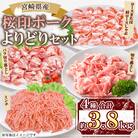 桜印ポークよりどりセット 約3.8kg(三股町)