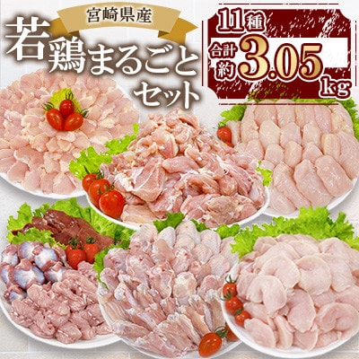 宮崎県産若鶏まるごとセット 約3.05kg(三股町)