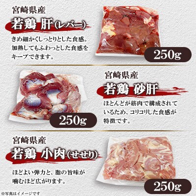宮崎県産若鶏まるごとセット 約3.05kg(三股町)
