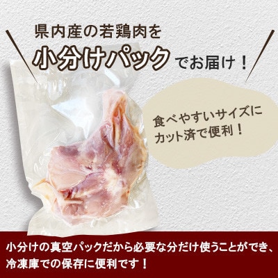 宮崎県産 若鶏 骨付もも肉 約2.5kg(10本セット)(三股町)