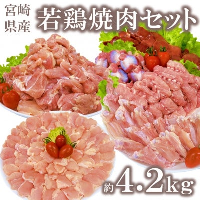 宮崎県産若鶏焼肉セット 約4.2kg(三股町)【MI445】