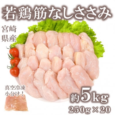 宮崎県産若鶏筋なしささみ約5kg(250g×20)(三股町)【MI513】
