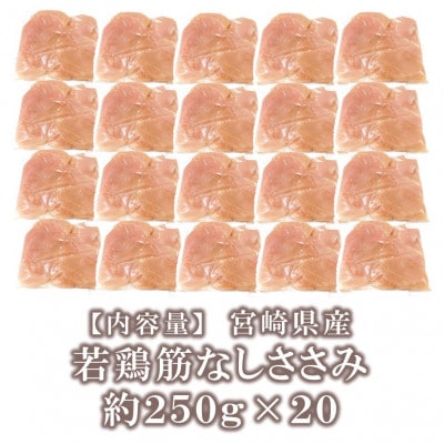 宮崎県産若鶏筋なしささみ約5kg(250g×20)(三股町)【MI513】