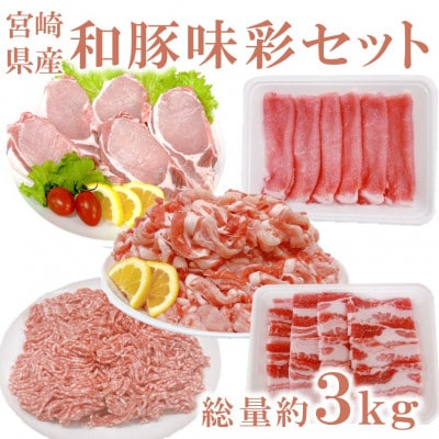 宮崎県産「和豚味彩」豚肉バラエティセット 約3kg(三股町)【MI551】