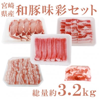 宮崎県産「和豚味彩」豚肉バラエティセット 約3.2kg(三股町)【MI552】