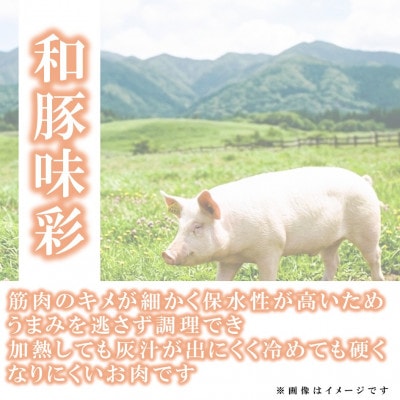 宮崎県産「和豚味彩」豚肉バラエティセット 約3.2kg(三股町)【MI552】