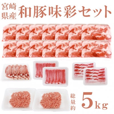 宮崎県産「和豚味彩」豚肉バラエティセット 約5kg(三股町)【MI554】