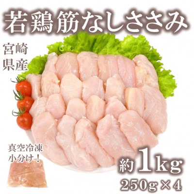 宮崎県産若鶏筋なしささみ約1kg(約250g×4)(三股町)【MI628】