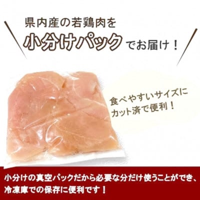 宮崎県産若鶏筋なしささみ約1kg(約250g×4)(三股町)【MI628】