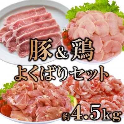 宮崎県産 豚肉鶏肉よくばりセット 合計4.5kg(三股町)【MI731】
