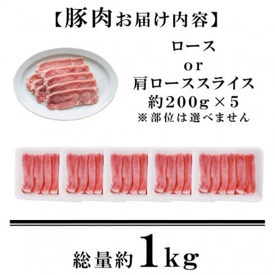 宮崎県産 豚肉鶏肉便利セット約4kg(三股町)【MI734】