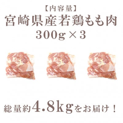 宮崎県産若鶏肉総量約4.8kgセット(三股町)【MI762】