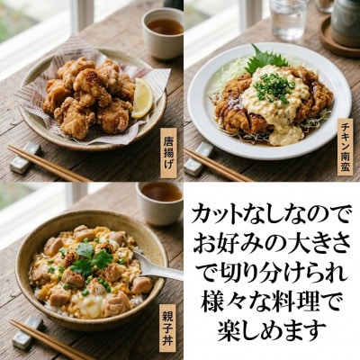 【訳アリ】カットなし宮崎県産若鶏もも肉4kg(三股町)【MI764】