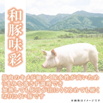 【毎月定期便】宮崎県産豚肉切り落とし 約3.5kg(約250g×14)【MI802】(三股町)全6回