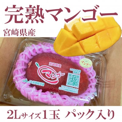 【先行予約】期間限定・数量限定　宮崎県産完熟マンゴー2Lサイズ1玉パック入り【MI516】 | ふるさと納税のお礼品