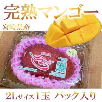 期間限定・数量限定　宮崎県産完熟マンゴー2Lサイズ1玉パック入り【MI516】