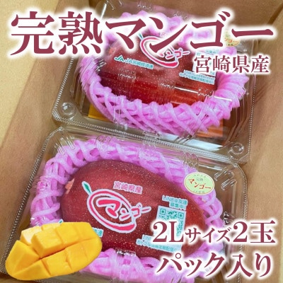 【先行予約】期間限定・数量限定　宮崎県産完熟マンゴー2Lサイズ2玉パック入り【MI232】