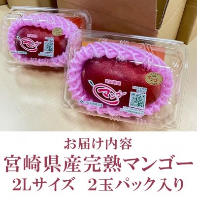 期間限定・数量限定　宮崎県産完熟マンゴー2Lサイズ2玉パック入り【MI232】