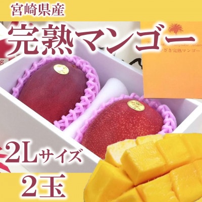 【先行予約】期間限定・数量限定　宮崎県産完熟マンゴー2Lサイズ2玉化粧箱入り【MI515】 | ふるさと納税のお礼品