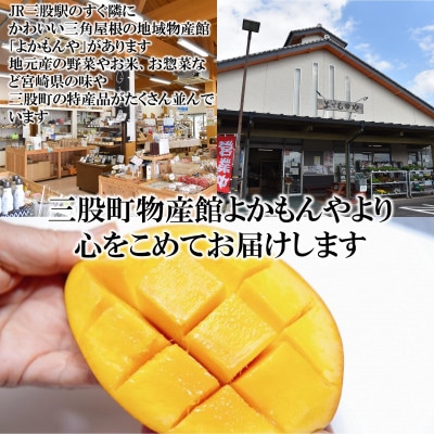 期間限定・数量限定　宮崎県産完熟マンゴー2Lサイズ2玉化粧箱入り【MI515】